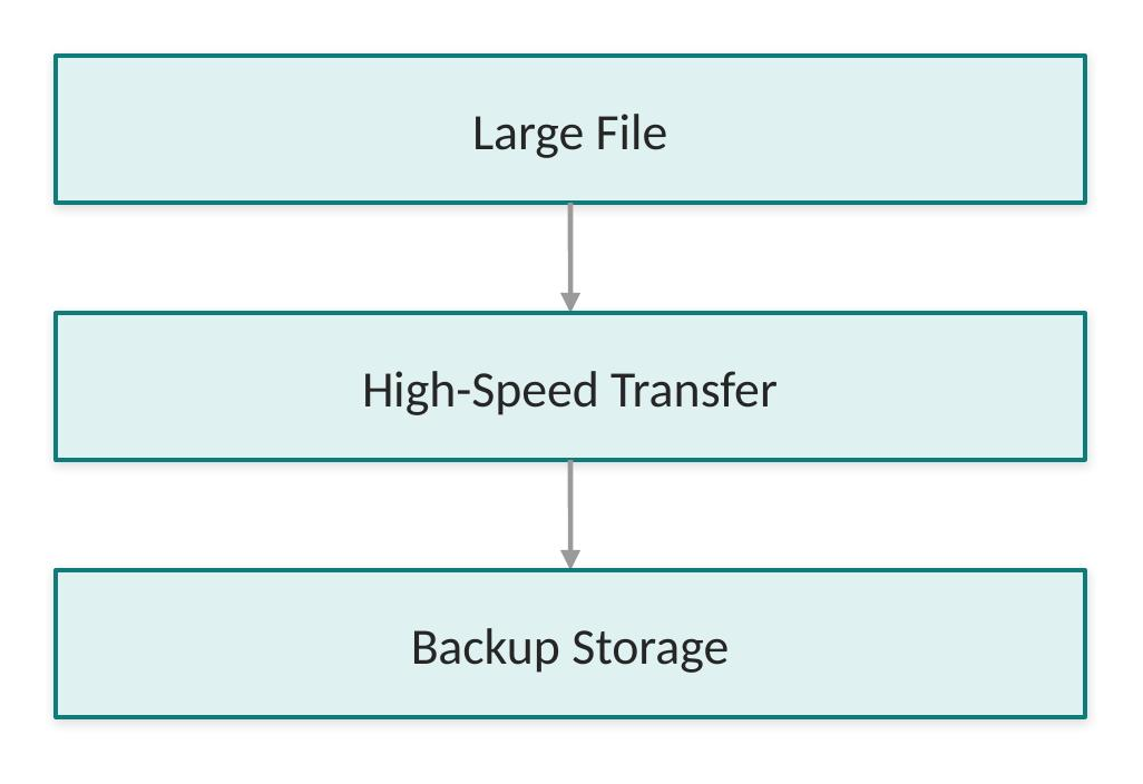 Throughput flow: a Large File moves through a High-Speed Transfer to Backup Storage