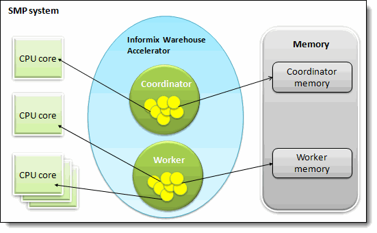 Figure 3.   Example of Informix Warehouse Accelerator single worker node configuration in an SMP environment